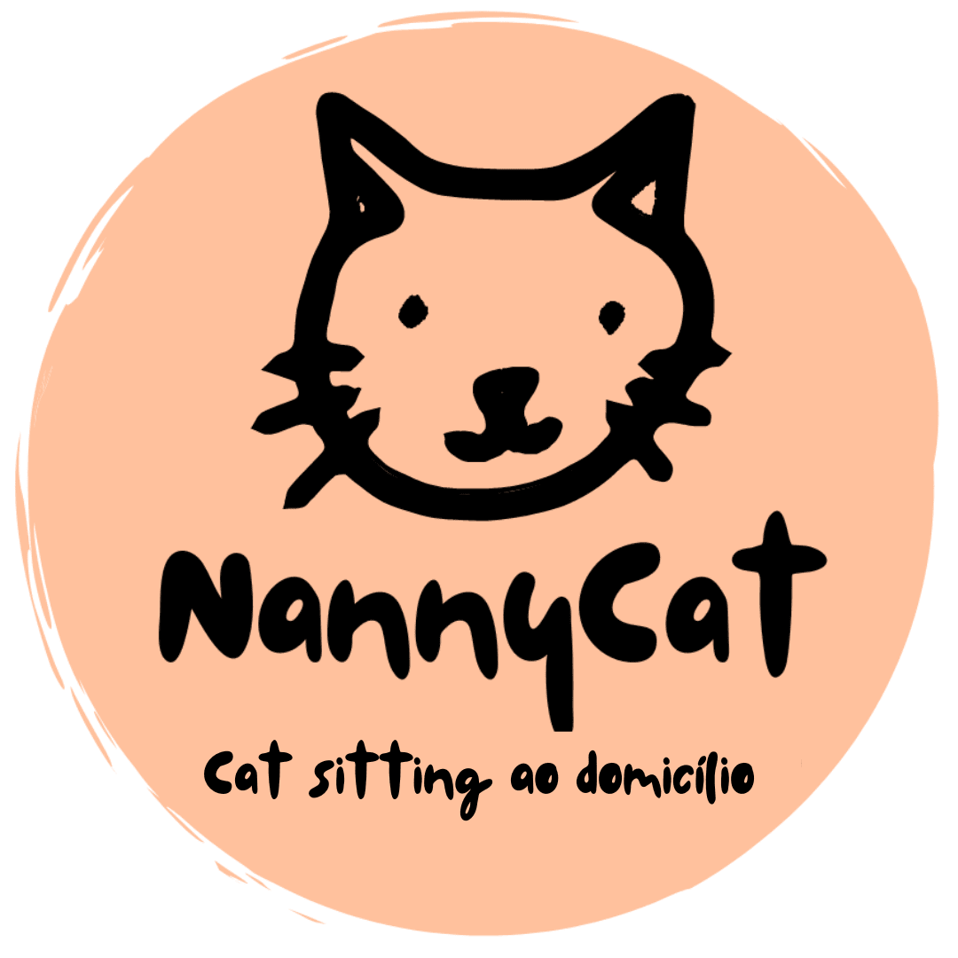 Cat Sitter no Porto